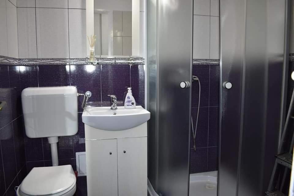 Bega Circumvalatiunii 1 Room Apartment Timisoara Luaran gambar